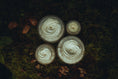 Load image into Gallery viewer, Coffee & Walnut Cream