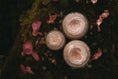 Load image into Gallery viewer, Rose Quartz Cream