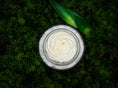 Load image into Gallery viewer, Avocado & Aloe Cream

